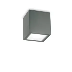 Luminosa Techo Outdoor Large Surface Mounted Downlight Anthracite IP54, GU10