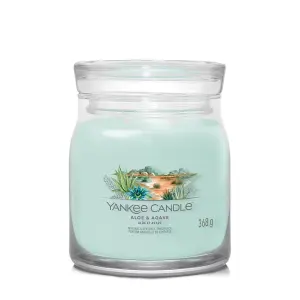 Yankee Candle Aloe & Agave Signature Medium Jar