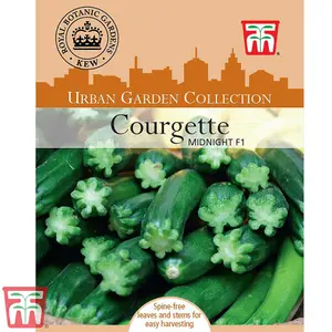 Courgette Midnight F1 Hybrid 1 Seed Packet (10 Seeds)