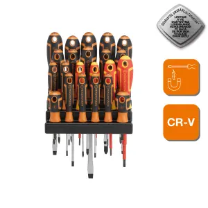 Magnusson 22 piece Standard Mixed Screwdriver set