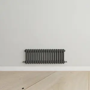 Horizontal Anthracite Double Column Radiator (H) 300mm x (W) 830mm, 1895 BTU.