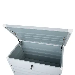 Storage Box Light Grey CEBROSA