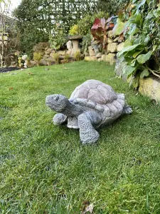 Medium Stone Cast Tortoise Garden Ornament