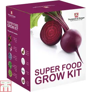 Seed Growing Kit - Super Foods