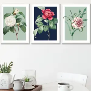 Set of 3 Framed Vintage Flowers Camellia Blue and Green / 42x59cm (A2) / White