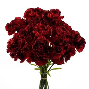 12 x Red Carnation Artificial Flower