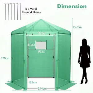 Costway Walk-in Greenhouse Planter Grow Tent Hexagon Grow House W/ Roll-up Zippered Door