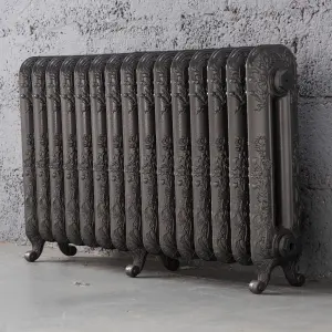 Arroll Daisy Cast iron Grey 15 Column Radiator, (W)1009mm x (H)597mm