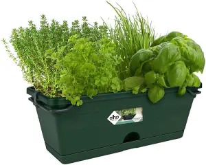 Elho Green Basics Trough Mini All in 1 Leaf Green 30cm Recycled Plastic Plant Pot