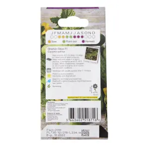 Verve Odys F1 gherkin Vegetable Seeds