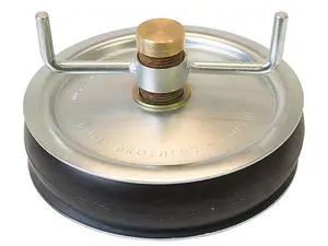 2420 Drain Test Plug 225Mm (9In) - Brass Cap