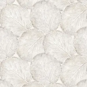 Beech Leaf Wallpaper In White and Grey