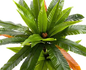 Best Artificial 120cm 4ft Birds Nest Fern Plant