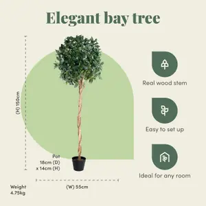 Fake Bay Topiary Tree by Blooming Artificial