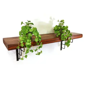 Wooden Rustic Shelf with Bracket SQUARE Black 170mm 7 inches Walnut Length of 230cm