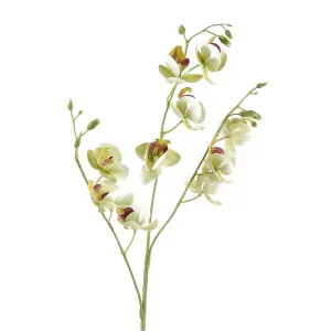 80cm Cream Artificial Mini Orchid Stem