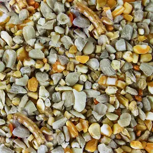 25kg SQUAWK Robin & Songbird Food - Protein Rich Wild Bird Seed Mix For Garden Birds