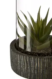 Fiori Large Succulent with Black Stone Base Artificial Plant Foliage