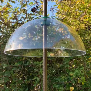 Deluxe Complete Metal Bird Feeding Station with Large Copper Style Feeders & Baffle