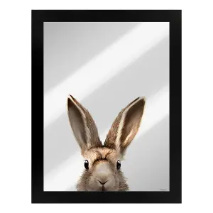 Inquisitive Creatures Hare Mirrored Plaque Black/Silver (One Size)