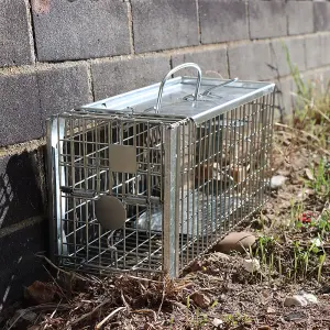 The Big Cheese, Poison-Free, Ready-Baited Rat Cage Trap