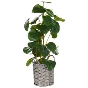 Beliani Retro Artificial Plant KIBETI Green