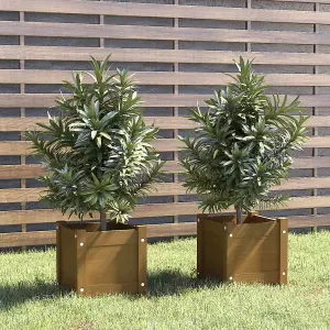 Berkfield Garden Planters 2 pcs Honey Brown 31x31x31 cm Solid Pinewood