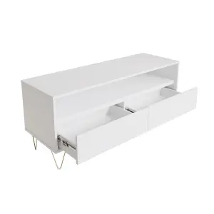 TV Cabinet with 2 Drawers White