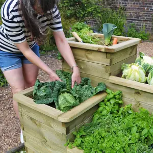 Zest 4 Tier Raised Wooden Bed Garden Layered Planter