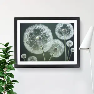 Joyful Dandelion Flowers - Single Picture Frame Print Black Framed / 25cm H x 34cm W x 2cm D