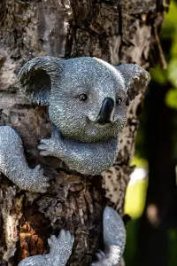 Koala Tree Peeker Garden Ornament