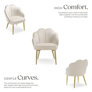 Accent Chair Hellen - velvet cover, padded, extra-wide shell-shaped backrest - cream/gold