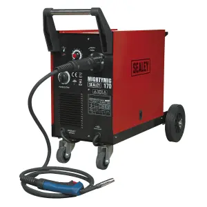 Professional Gas/Gasless MIG Welder with Euro Torch 170A