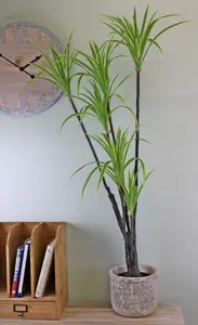 Geko Artificial Dracaena Marginata tree, 120cm