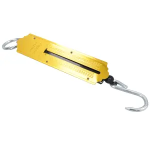 Luggage Fishing Pocket Spring Balance Weighing Scales 50KG