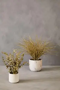 Fiori Grass Plant Artificial Plant Foliage