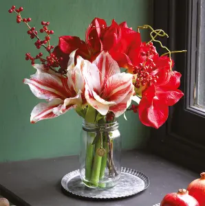 Bloom Artificial Amaryllis and Berry Arrangement in Vase - Faux Realistic Flower Centrepiece Floral Home Decoration - H40 x W30cm