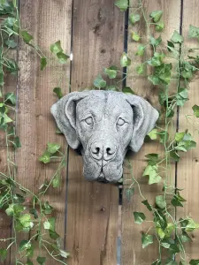 Adorable Great Dane Head Stone Wall Plaque