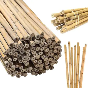 Gardens Large Extra Strong Heavy Duty Home Professional Bamboo Plant Support Garden Privacy Screen 3ft (10 - 12mm) 10 Canes