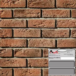 Brick Slip Samples - Weathered Country 640 Red