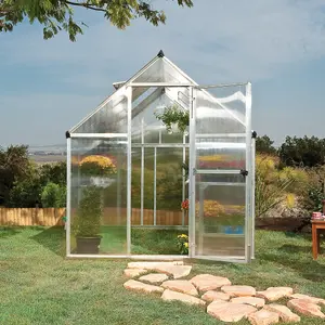 Palram - Canopia Mythos Silver 6x8 Greenhouse