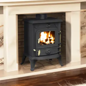 5kW Cast Iron Solid Multifuel Wood Burning Stove