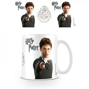 Harry Potter Character Mug White (One Size)