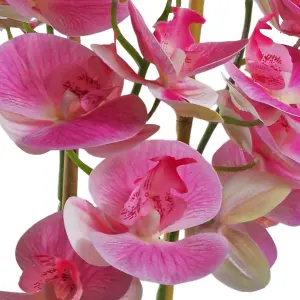 70cm Artificial Orchid Light Pink with Black Ceramic Planter