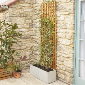 6ft Pine Trellis panel (W)122cm x (H)183cm