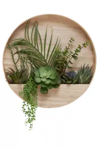 Fiori Mixed Succulents In Wood Wall Planter Artificial Plant Foliage