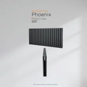 Warmhaus Phoenix Elips profile double panel horizontal radiator in anthracite 600 (h) x 295 (w)