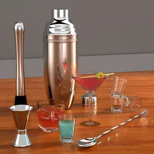 Bonicxane Cocktail Shaker Set Including 4 Pc Stainless Steel Cocktail Kit Pcs - 750ml