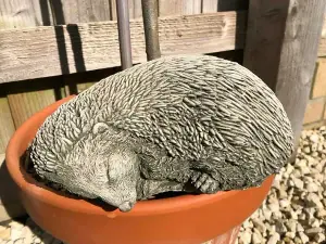 Sleeping Hedgehog Statue Reconstituted Stone Animal Concrete Garden Ornament