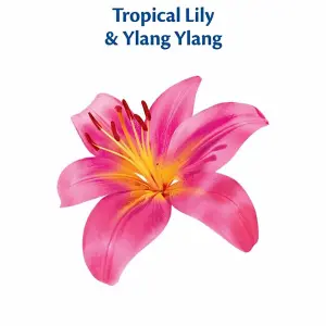 Surf Laundry Powder Tropical Lilly & Ylang-Ylang 45 Washes 2.25KG